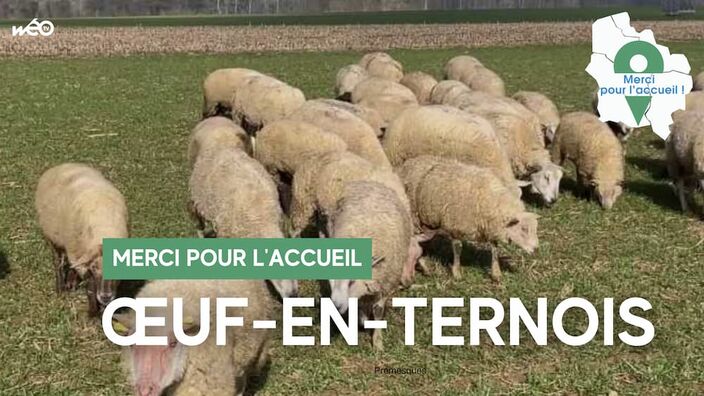 Œuf-en-Ternois : agriculture, comment respecter le sol ?